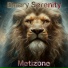 Metizone