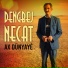 Dengbej Necat