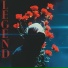 AgenT Z
