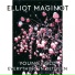 Elliot Maginot