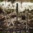 Attrition feat. Martin Bowes, Anni Hogan