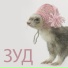 ЗУД
