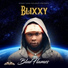 Blixxy