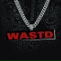 WASTD