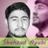 Shehzad Ayubi