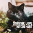 Kitchi Hart