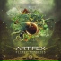 Artifex (IL)