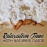 Nature Sound Collection