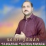 Sabit janan