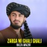 Raza Wazir