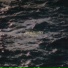 MIRBRO
