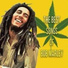 JAMZ JAMZ PLAYLIST