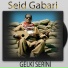 Seid Gabari