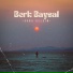 Berk Baysal