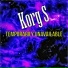 Korg S (Korg Pa 900)