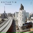 Esthetix