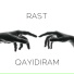 RAST