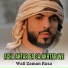 Wali Zaman Raza