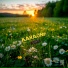 KARAONE