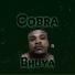 Bhuya