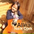 Allea