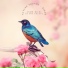 ASMR Birds in the Forest