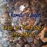 Thomas Lennert