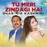 Shan Mir Kashmiri