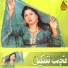 Najma Shakeel