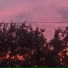 Enwerg