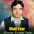 Shafi Esar