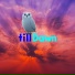 tillDawn feat. DisHand