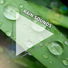 Regengeräusche, Rain Sounds, Relaxing Spa Music