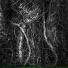 DNoize, Andrea Natale