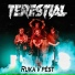 Terestial