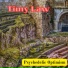 Timy Law