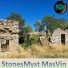 masvin
