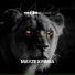 Mayze X Faria