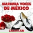 Marimba Voces de México