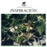 NF Records