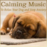 RelaxMyDog
