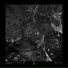Sequent, M:Pathy