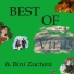 Virus & Bini Zuchini