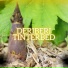 Deriberi Tinterbed