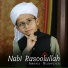 Ameer Muawiya