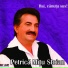 Petrică Mâțu-Stoian