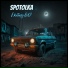 Spotolka