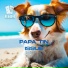 09. Papa Tin AwesomeRecords