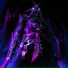 TheDarkas