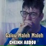 Cheikh Abdou